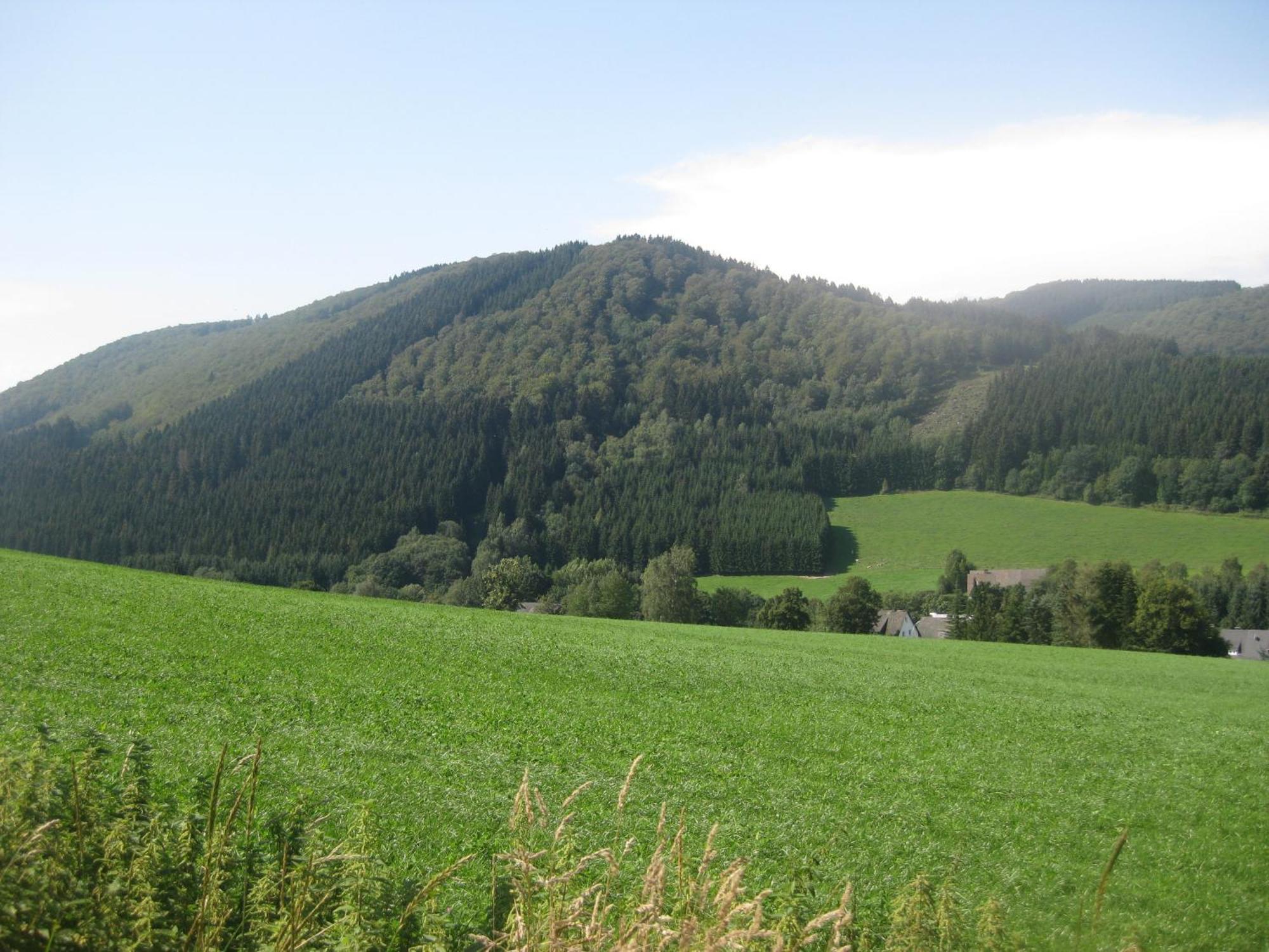 Pension-Gaestehaus Waldhof Винтерберг Экстерьер фото